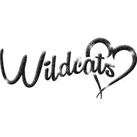 GLT6 BLACK GLITTER Thumbnail